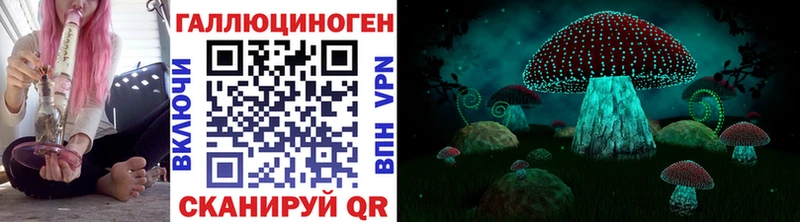 Псилоцибиновые грибы Magic Shrooms  МЕГА маркетплейс  Новоаннинский 